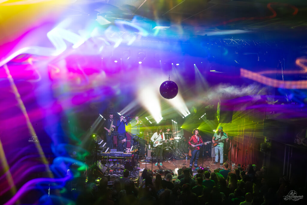 Dogs in a Pile | Ardmore Music Hall