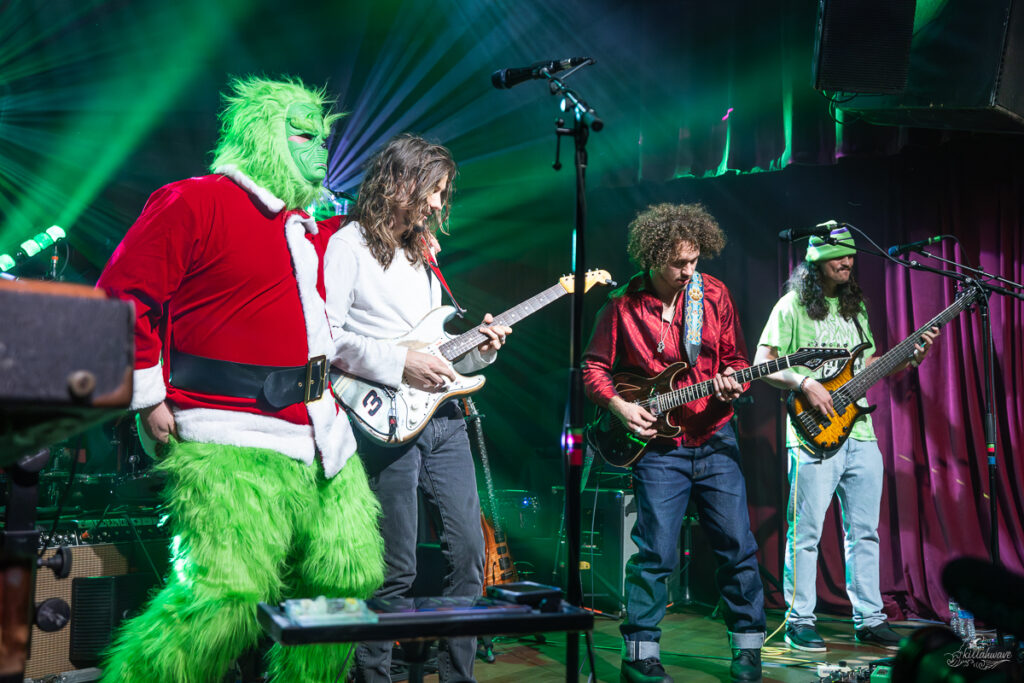 Dogs in a Pile | Ardmore Music Hall