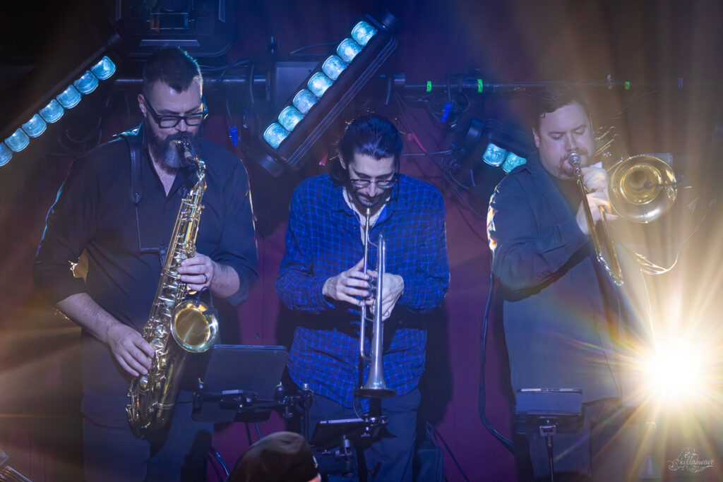 Dogs in a Pile | Ardmore Music Hall