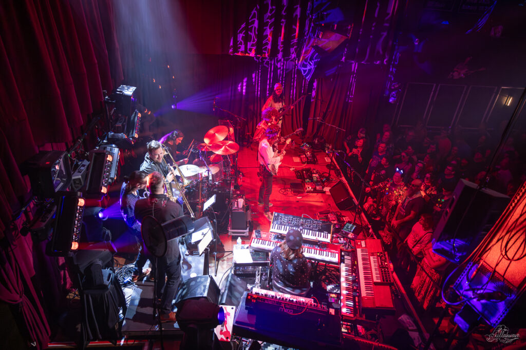 Dogs in a Pile | Ardmore Music Hall