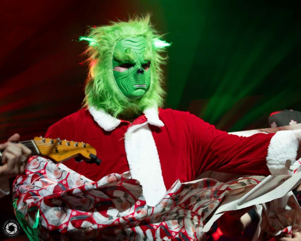 Dogs in a Pile | Photo by Vinny Vallely