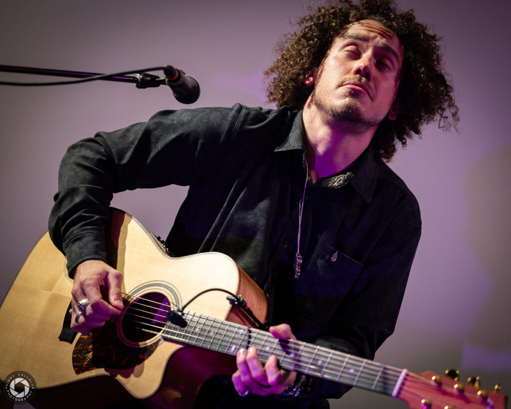 Murray's Law | Loft Story