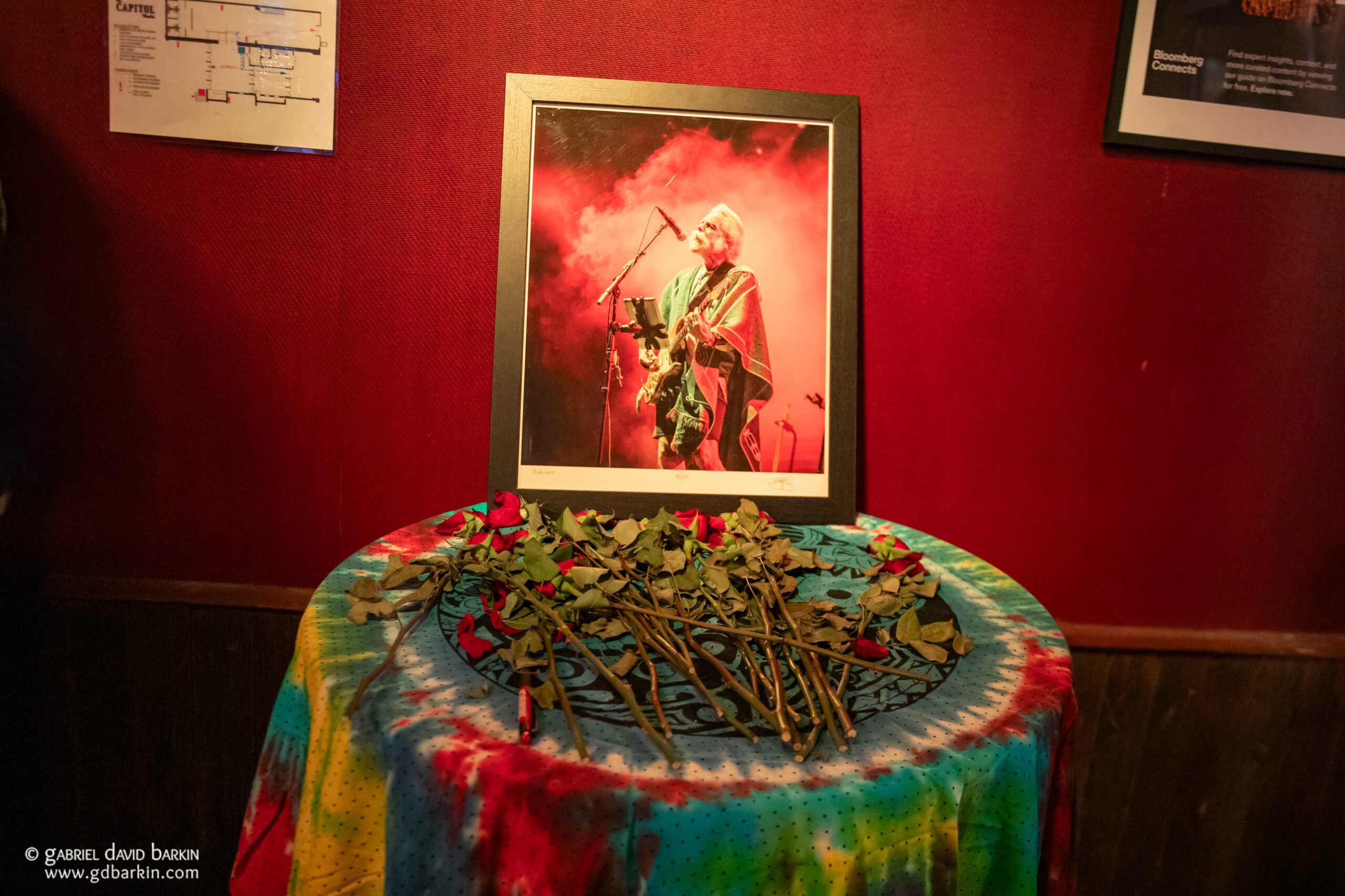 Gabriel David Barkin Photos - Grateful Web