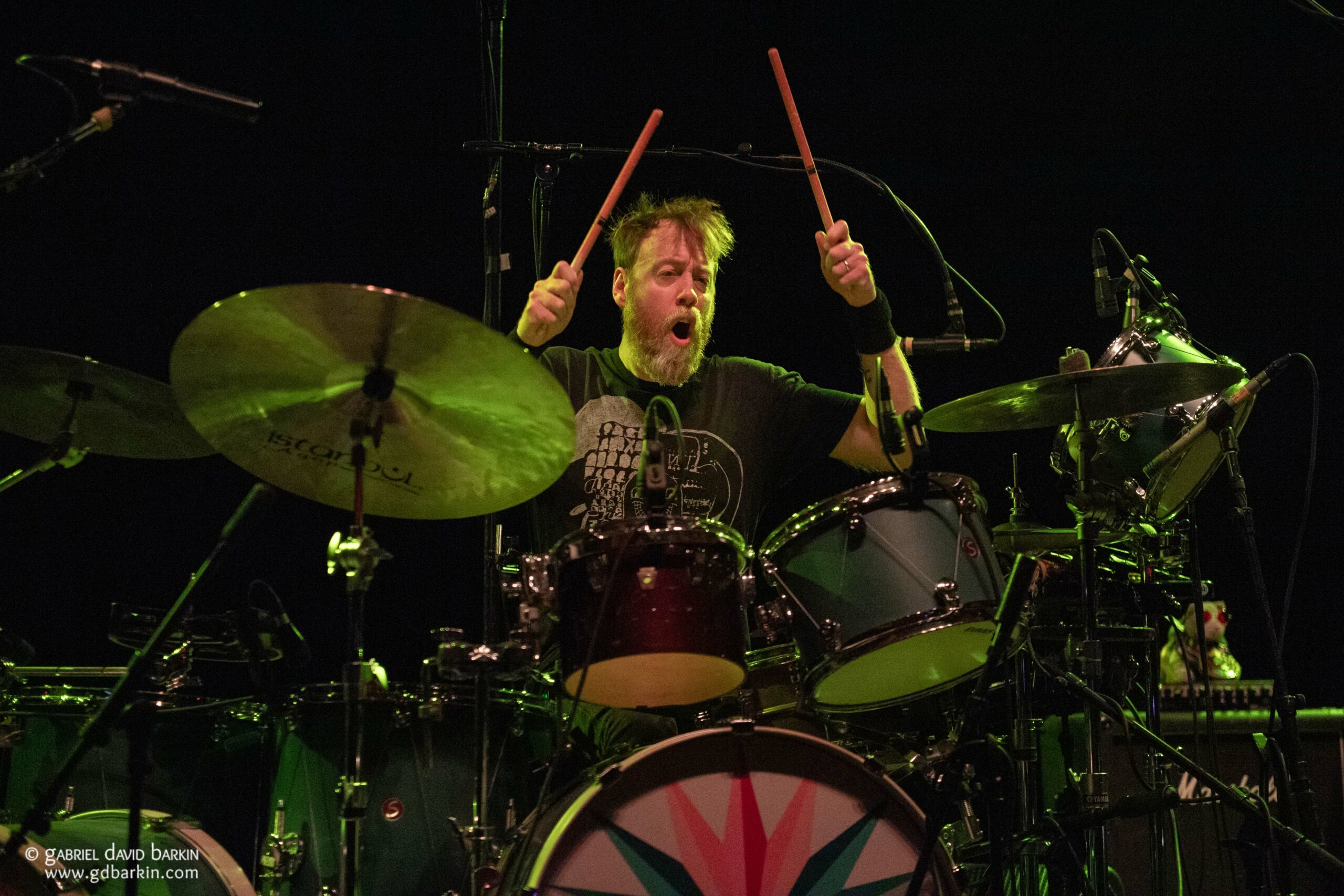 Gabriel David Barkin Photos - Grateful Web