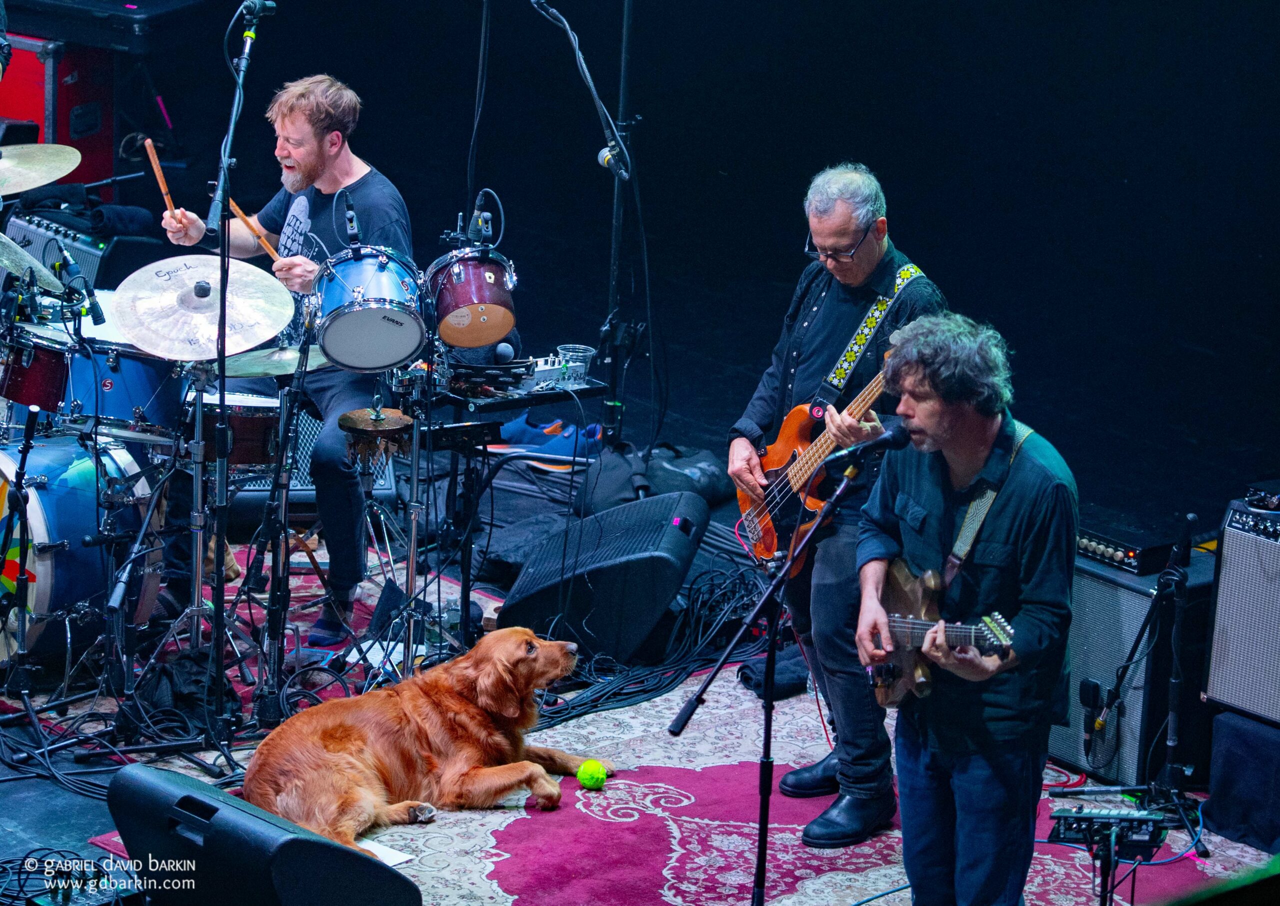 Gabriel David Barkin Photos - Grateful Web