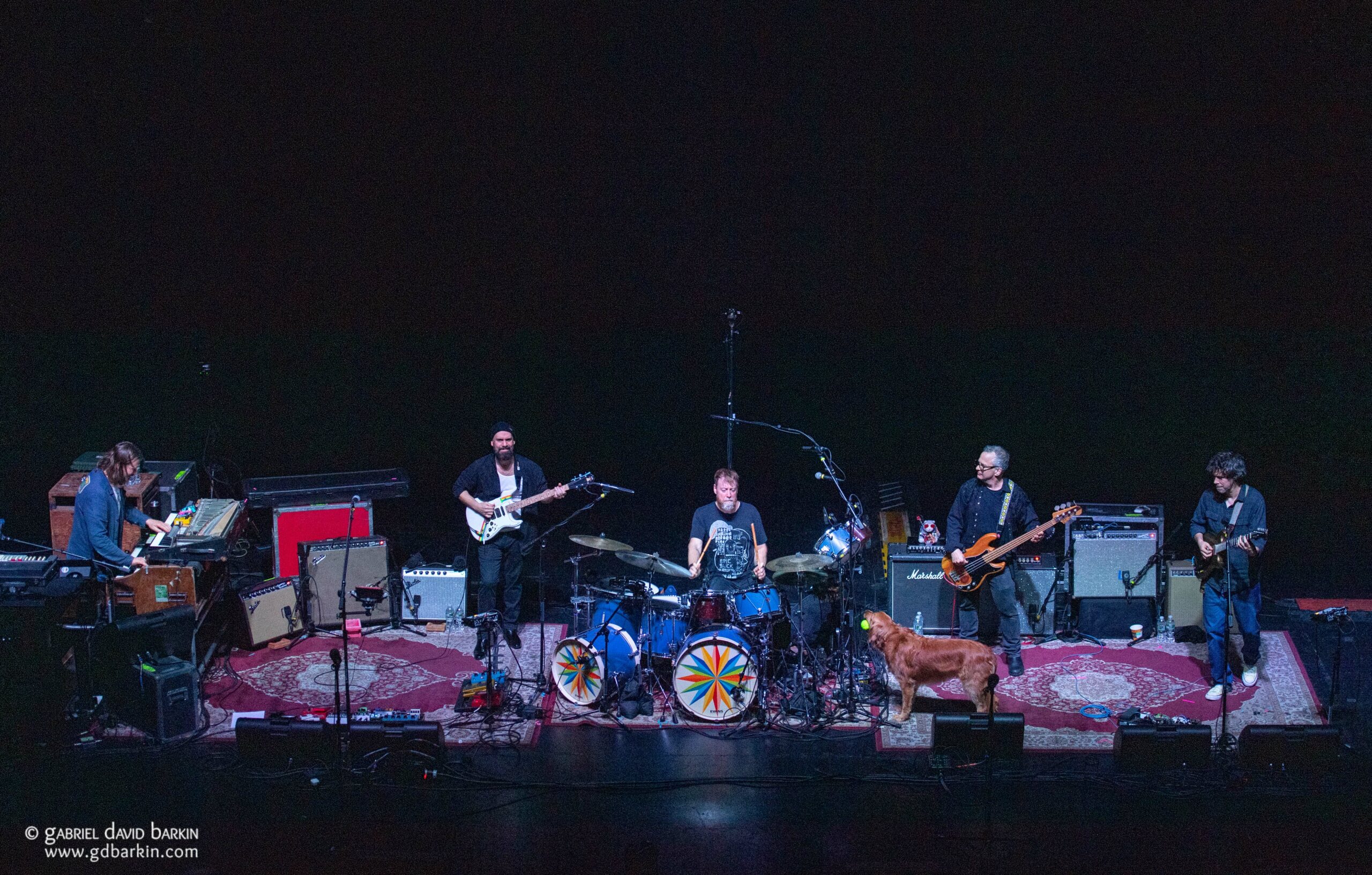 Gabriel David Barkin Photos - Grateful Web