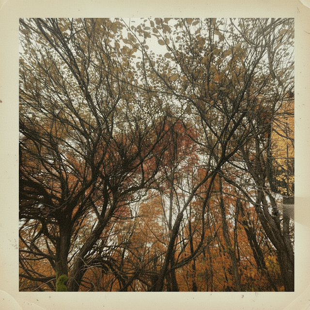 Odd Marshall Shares New Single “On My Way” Ahead of Sophomore Album Seconds