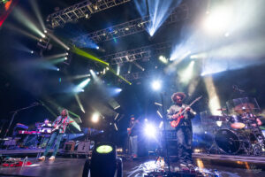 Dogs in a Pile | Capitol Theatre