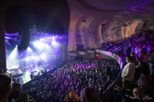 Dogs in a Pile | Capitol Theatre