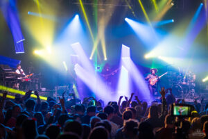Dogs in a Pile | Capitol Theatre
