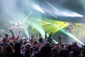 Dogs in a Pile | Capitol Theatre
