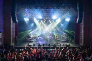 Dogs in a Pile | Capitol Theatre