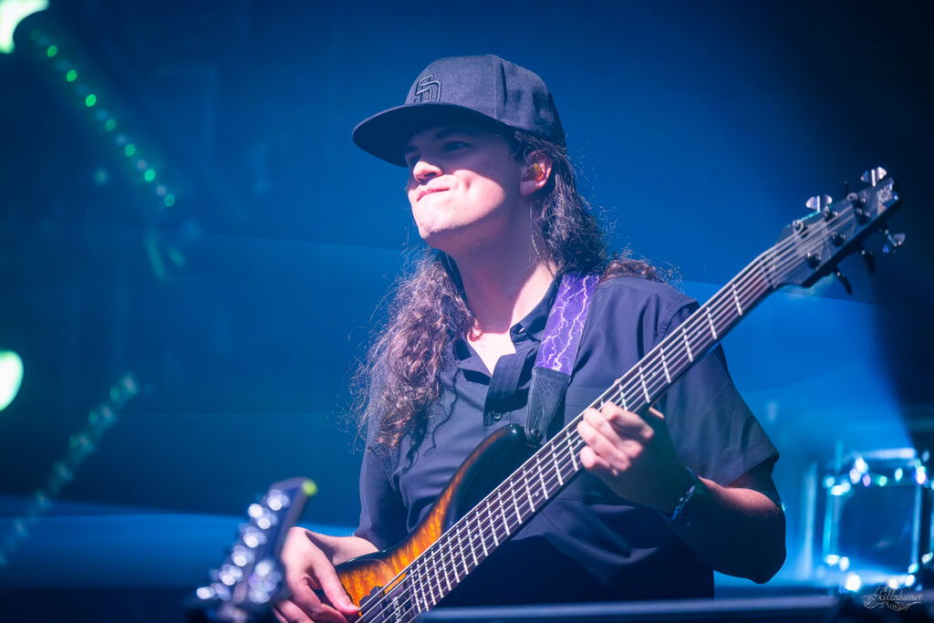 Sam Lucid | Dogs in a Pile - Grateful Web Sam Lucid | Dogs in a Pile