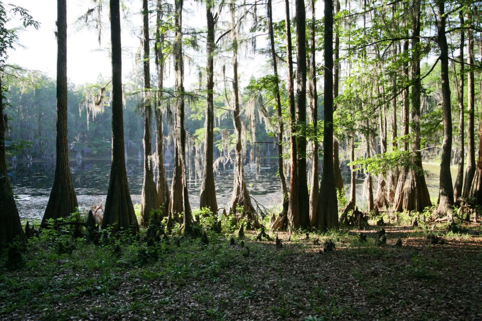 467589529_10161296530394667_141341531354909043_n - Grateful Web