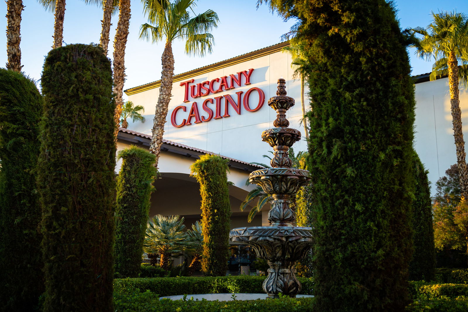 Shakedown Tuscany Returns to Las Vegas for Phish at Sphere