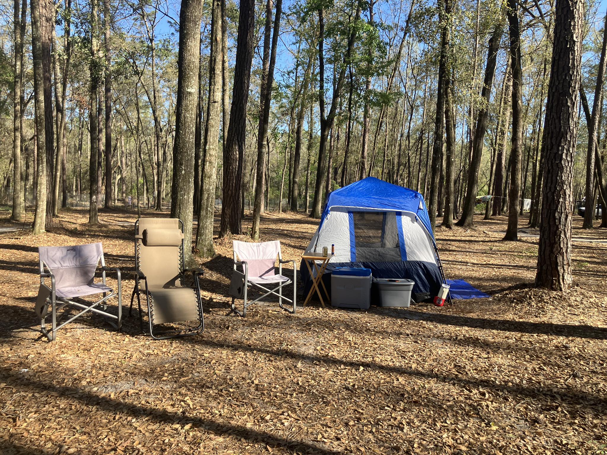 485113078_10161082225653364_5098161172105301912_n - Ashley Feller - Grateful Web