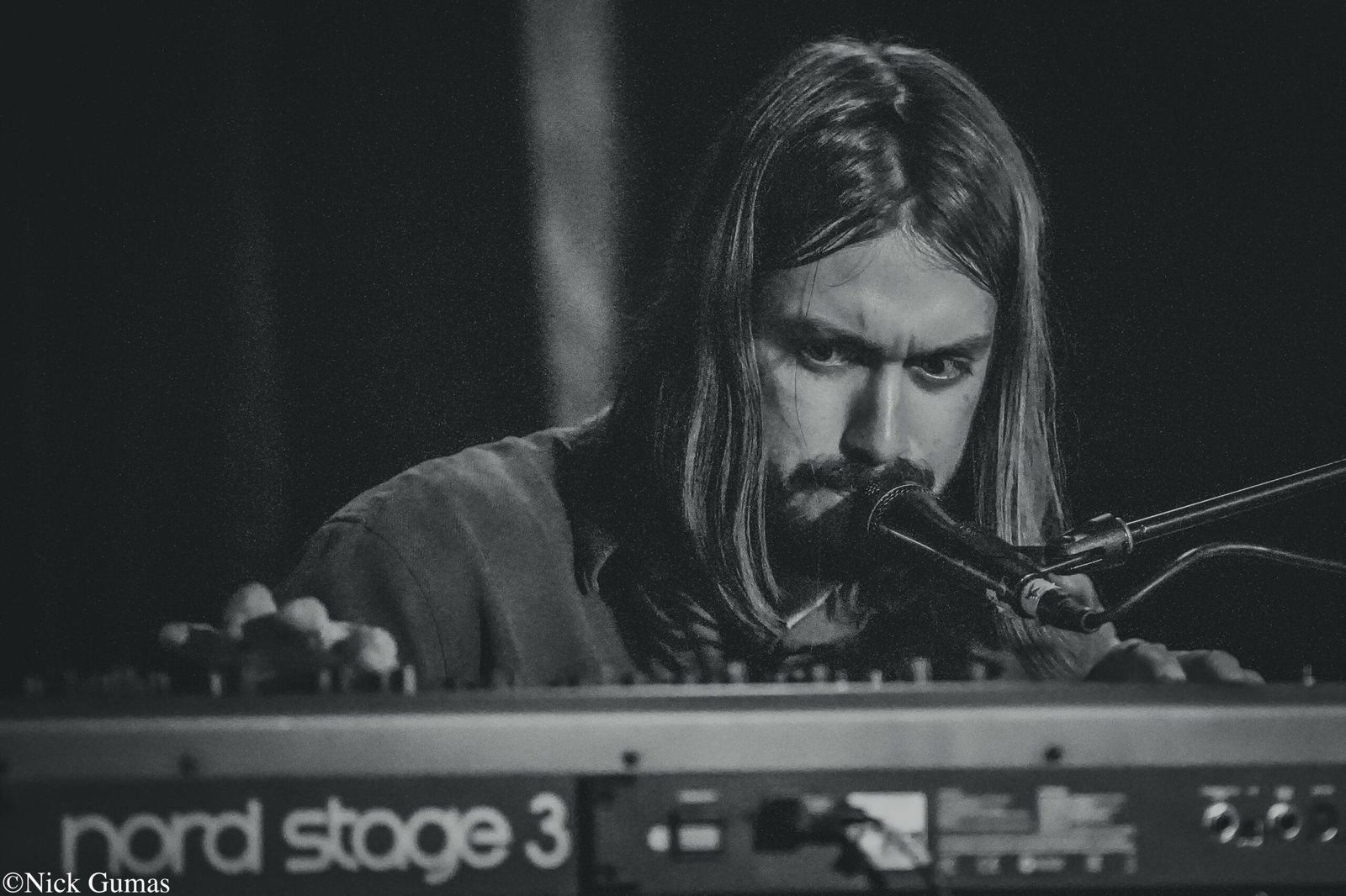 DSC09188 - Grateful Web