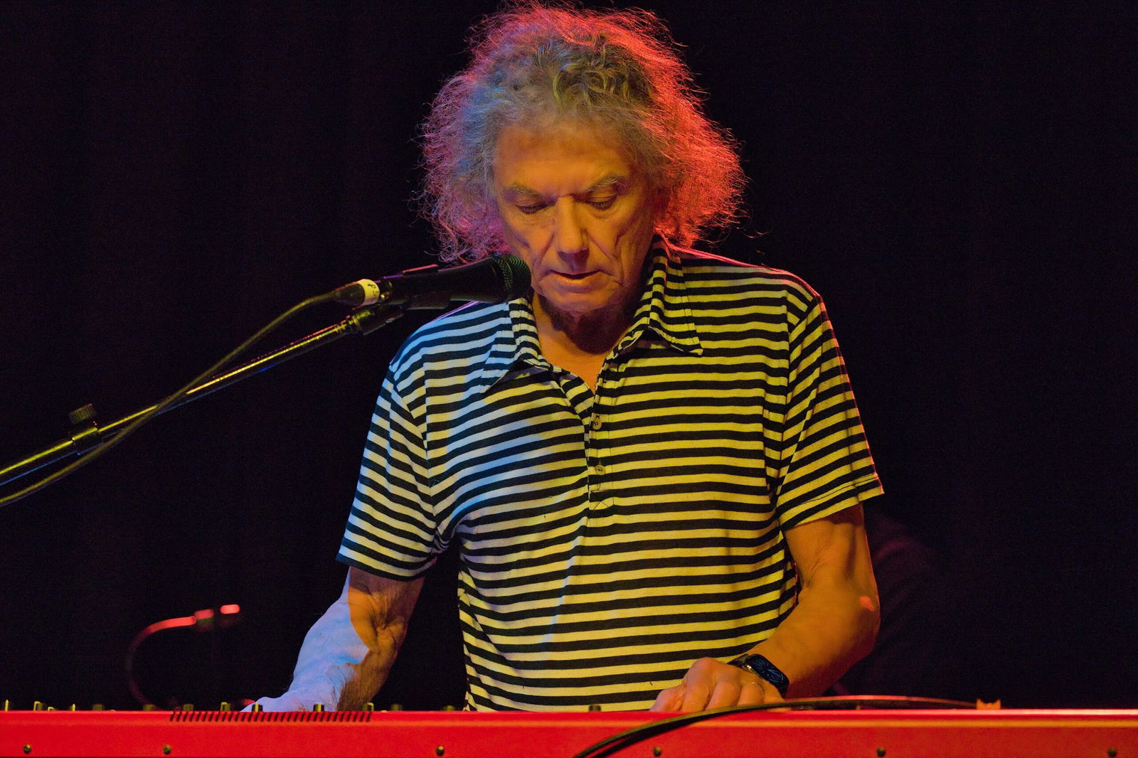 FL6A3617 - Grateful Web