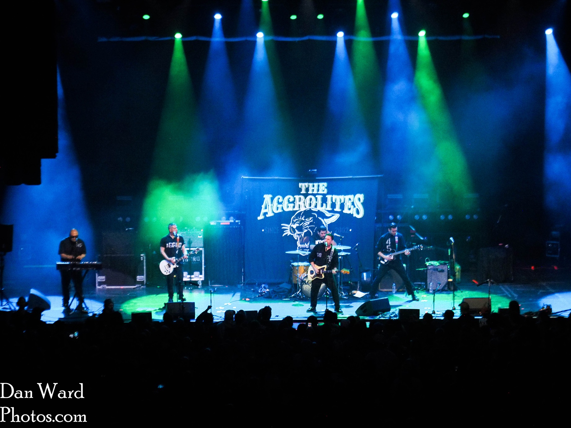 OLYMPUS DIGITAL CAMERA - Grateful Web