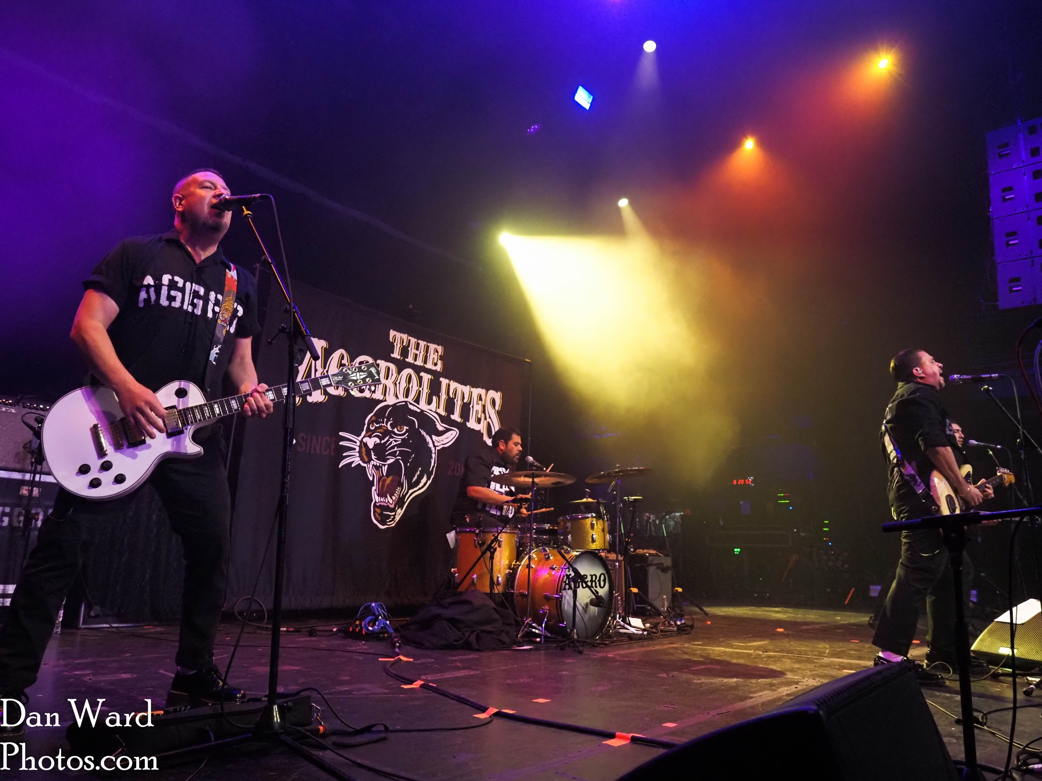 Arrgolites-111 - Grateful Web