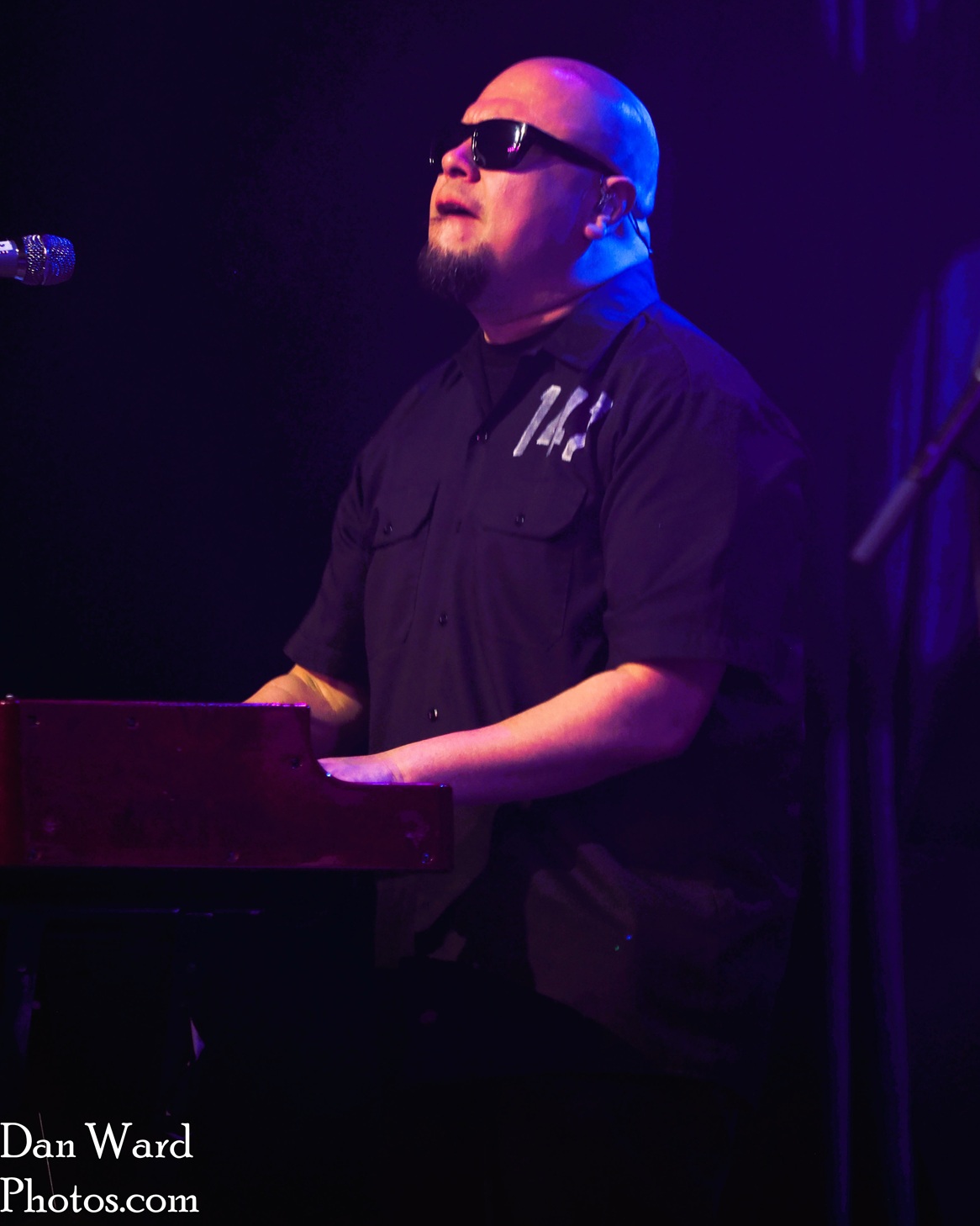 Arrgolites-45 - Grateful Web