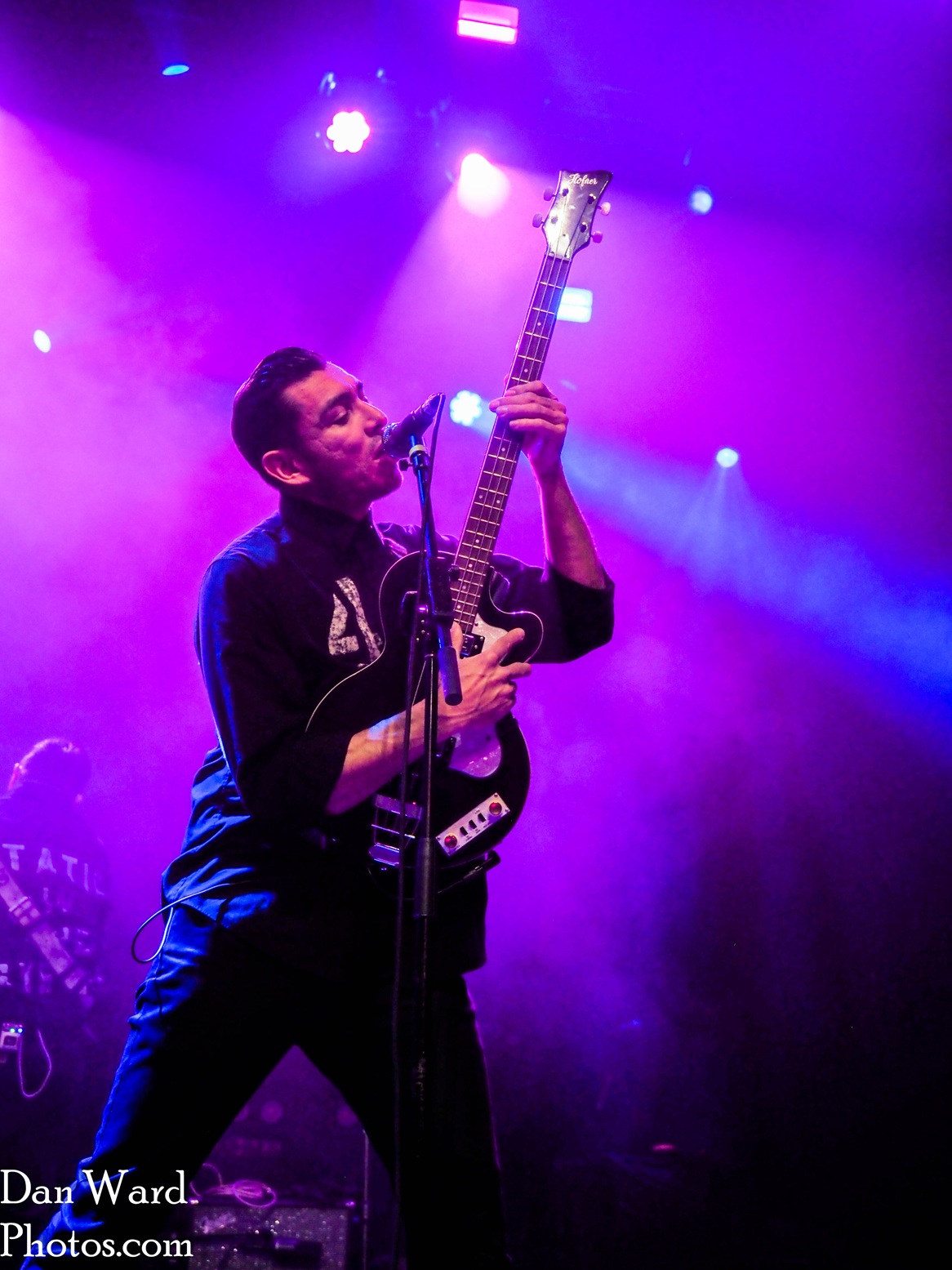 Arrgolites-94 - Grateful Web