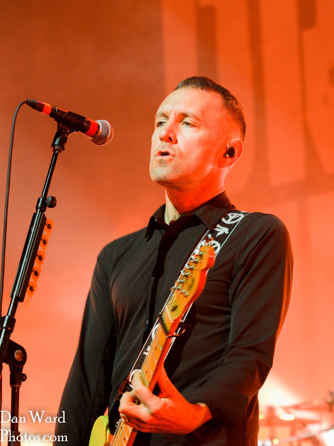 Murphys-25 - Grateful Web