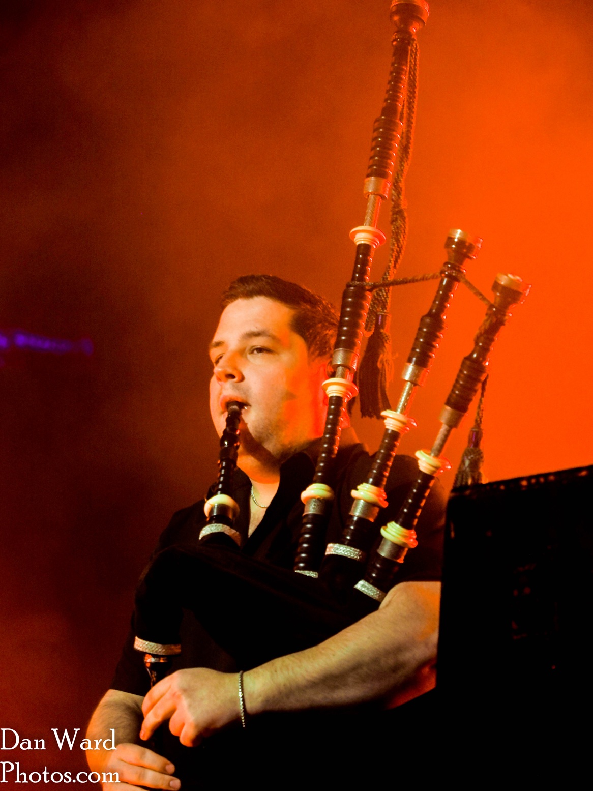 Murphys-39 - Grateful Web