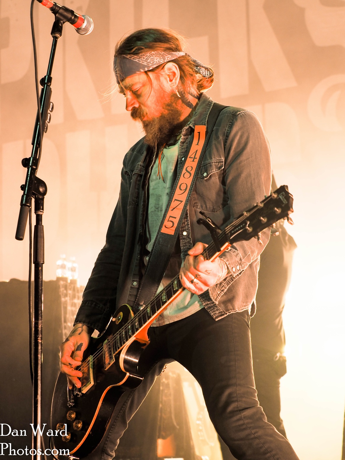 Murphys-50 - Grateful Web