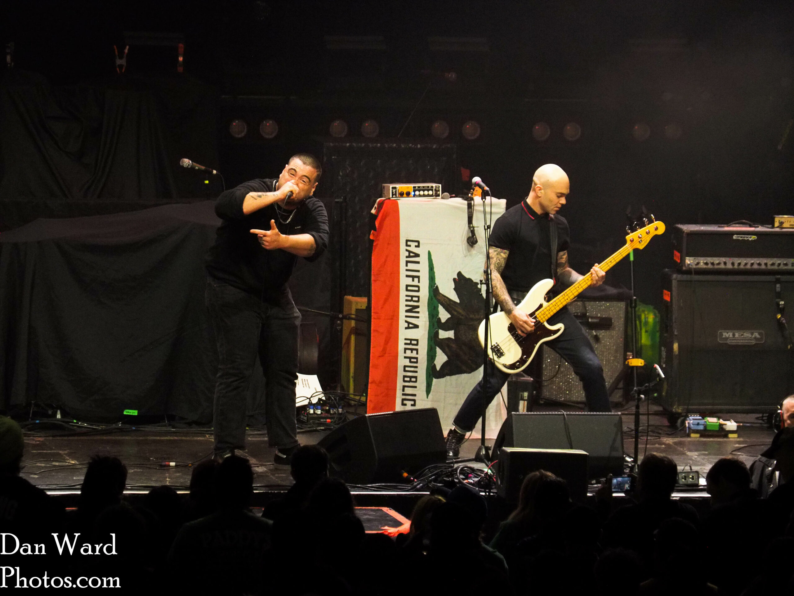 OLYMPUS DIGITAL CAMERA - Grateful Web