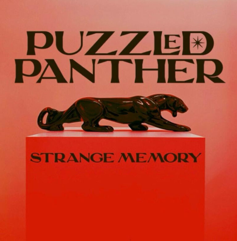 Puzzled Panther Release “Strange Memory” Produced by Eugene Hütz