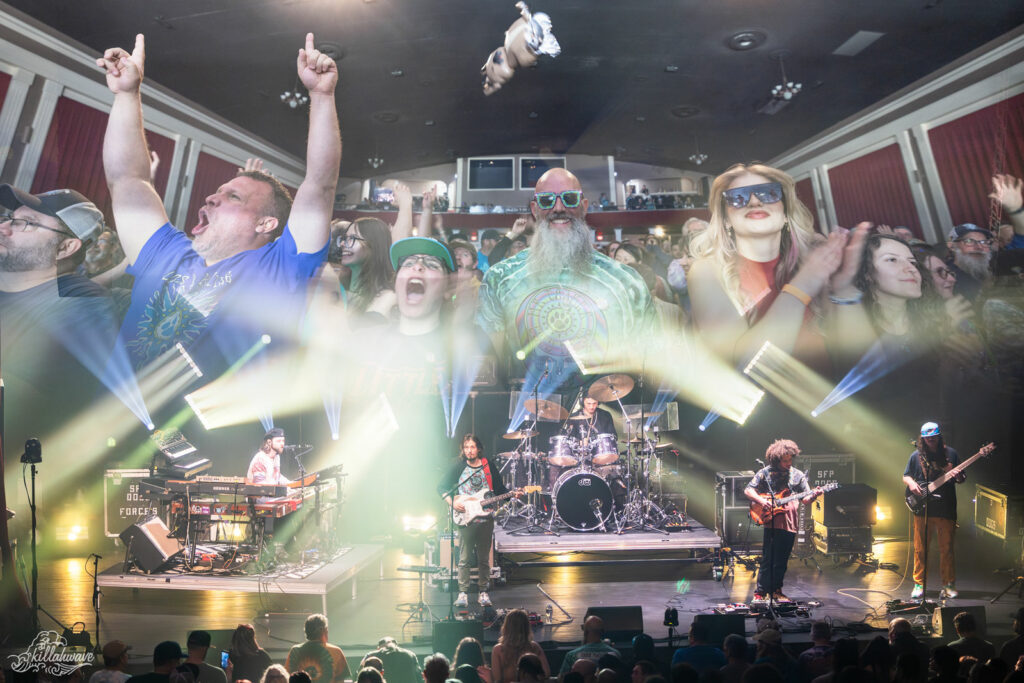 Dogs in a Pile Balance Precision and Exploration at the Sherman Theater