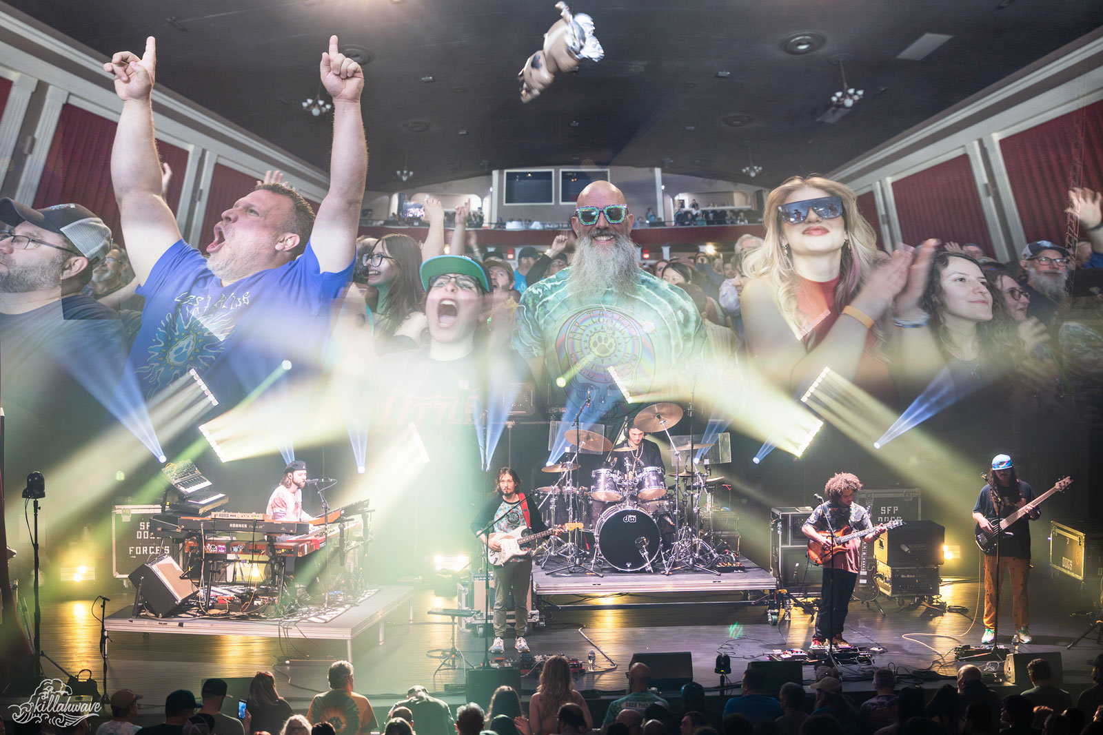 Dogs in a Pile Balance Precision and Exploration at the Sherman Theater