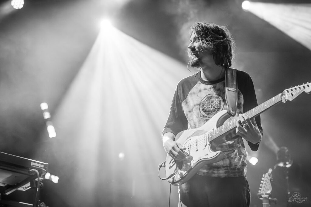 Brian Murray | Dogs in a Pile