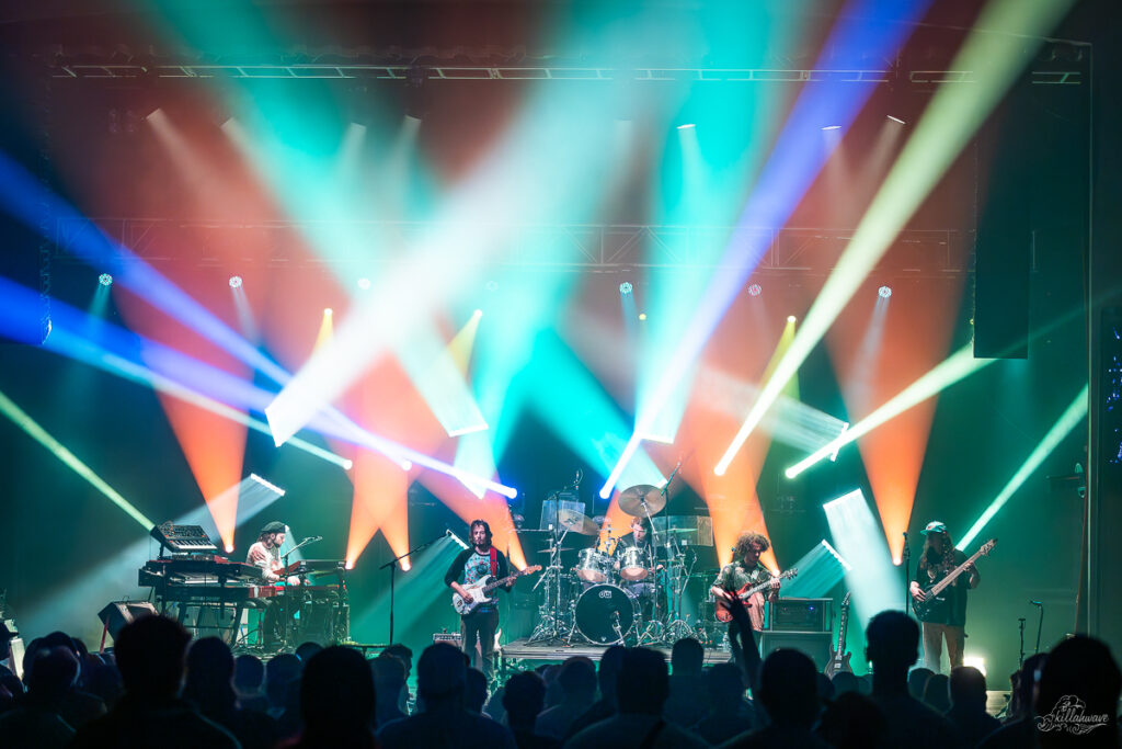 Dogs in a Pile | Sherman Theater