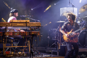 Dogs in a Pile | Sherman Theater