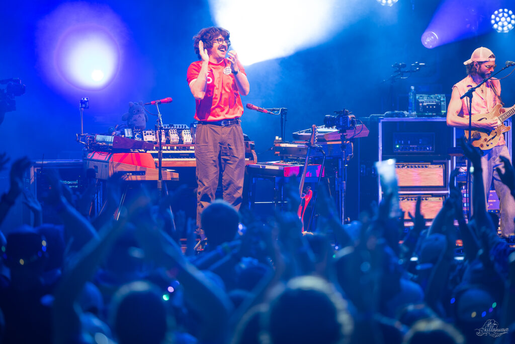 Goose | St. Augustine, FL