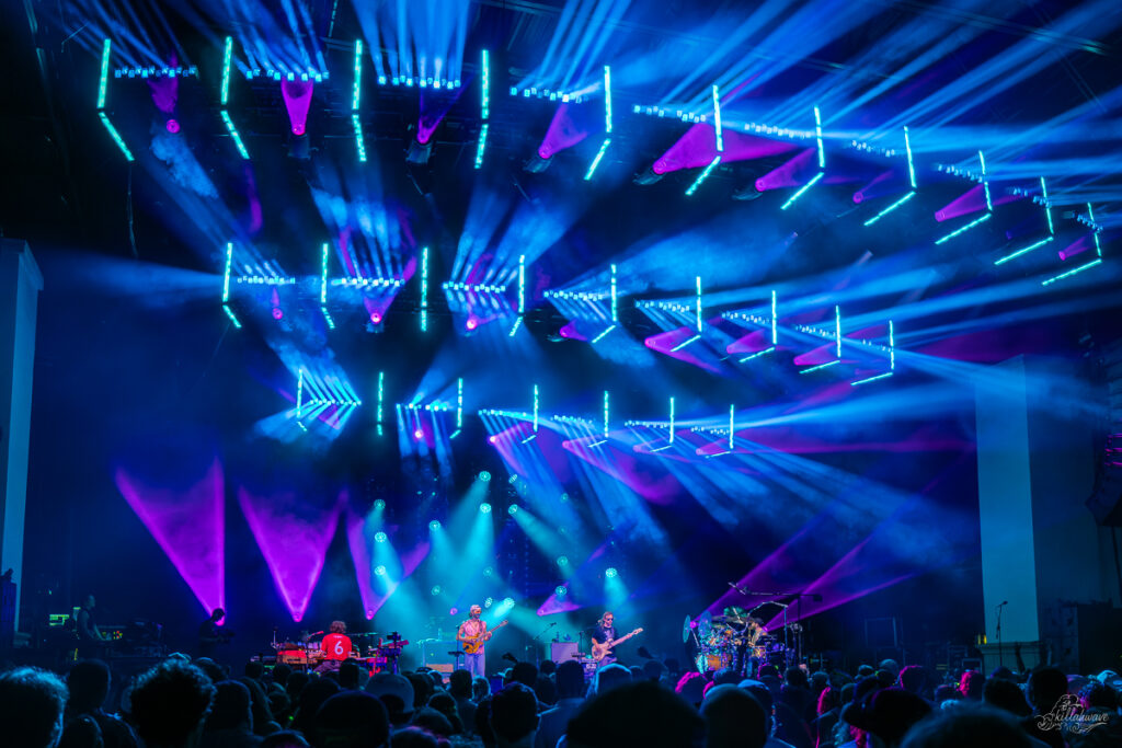 Goose | St. Augustine, FL