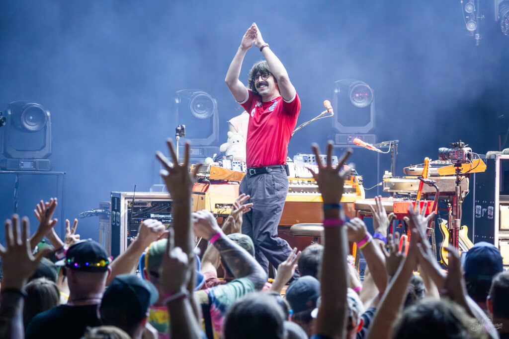 Peter Anspach | Goose