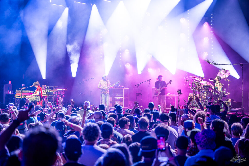 Goose | St. Augustine, FL