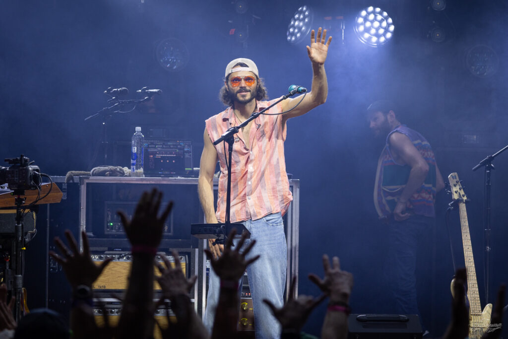 Goose | St. Augustine, FL