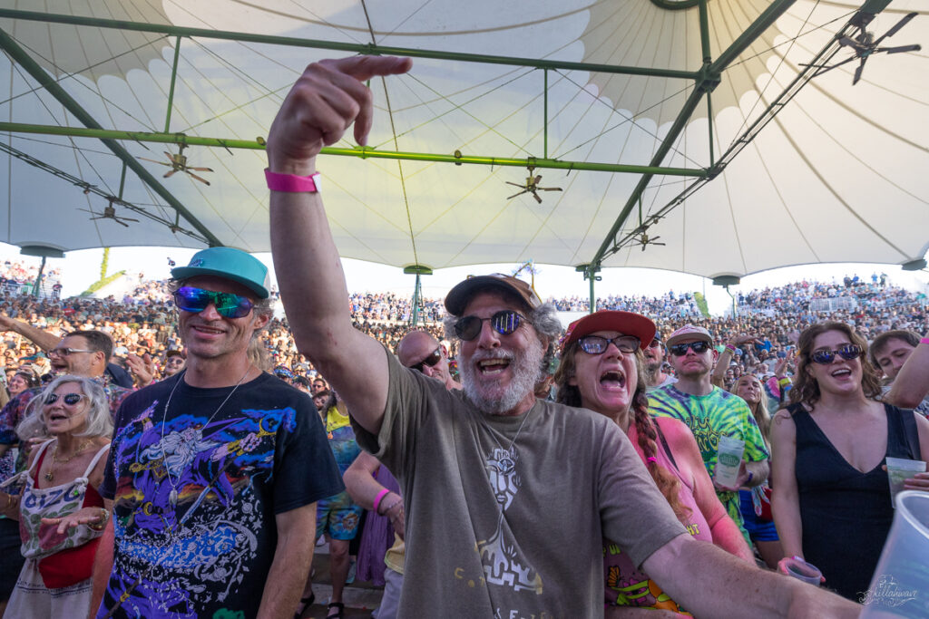 Goose | St. Augustine, FL