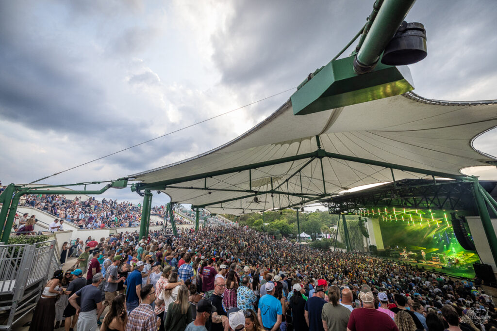 Goose | St. Augustine, FL