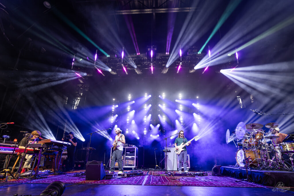 Goose | St. Augustine, FL