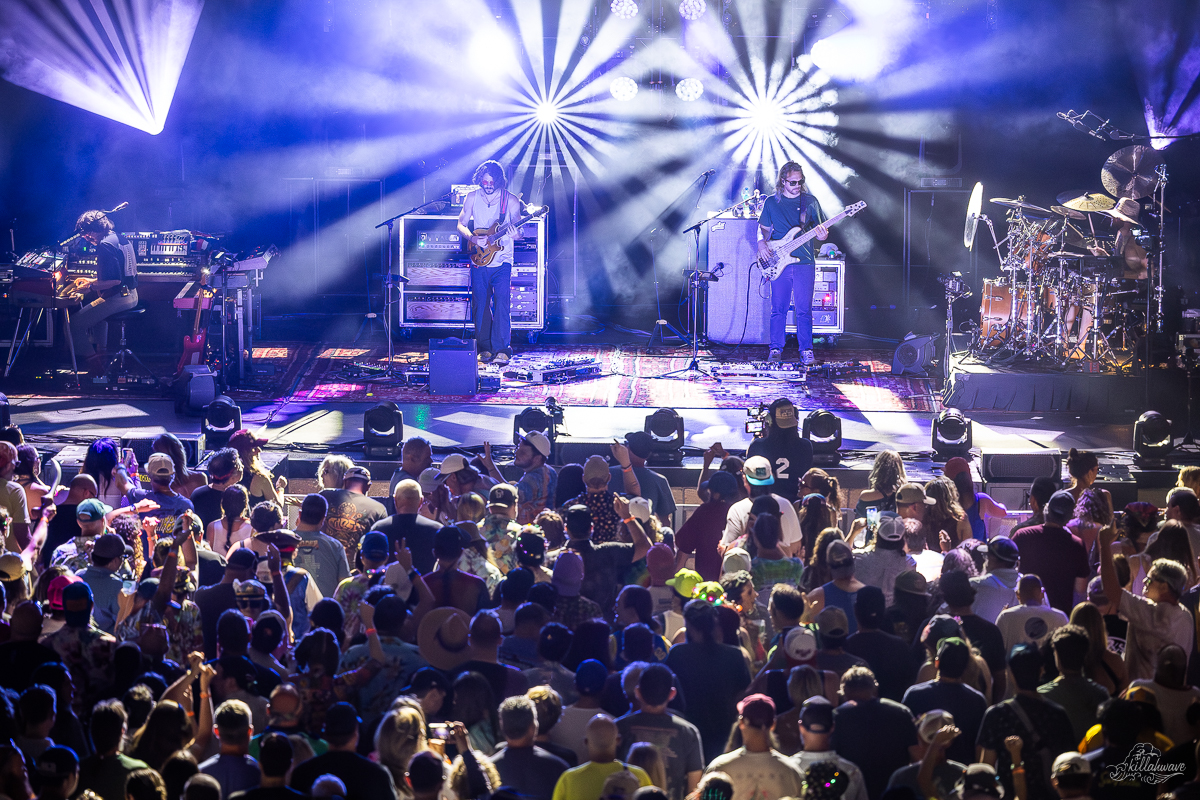 Goose | St. Augustine