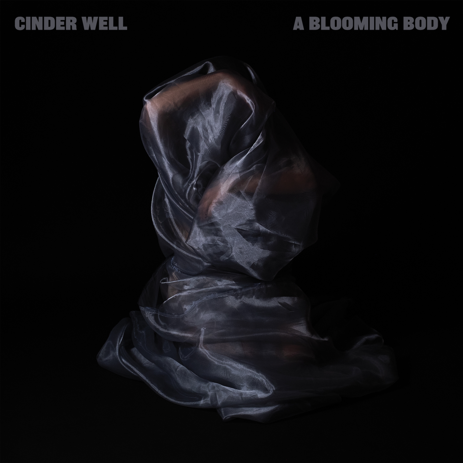 Cinder Well Announces A Blooming Body Shares While the Womb Screams Silently