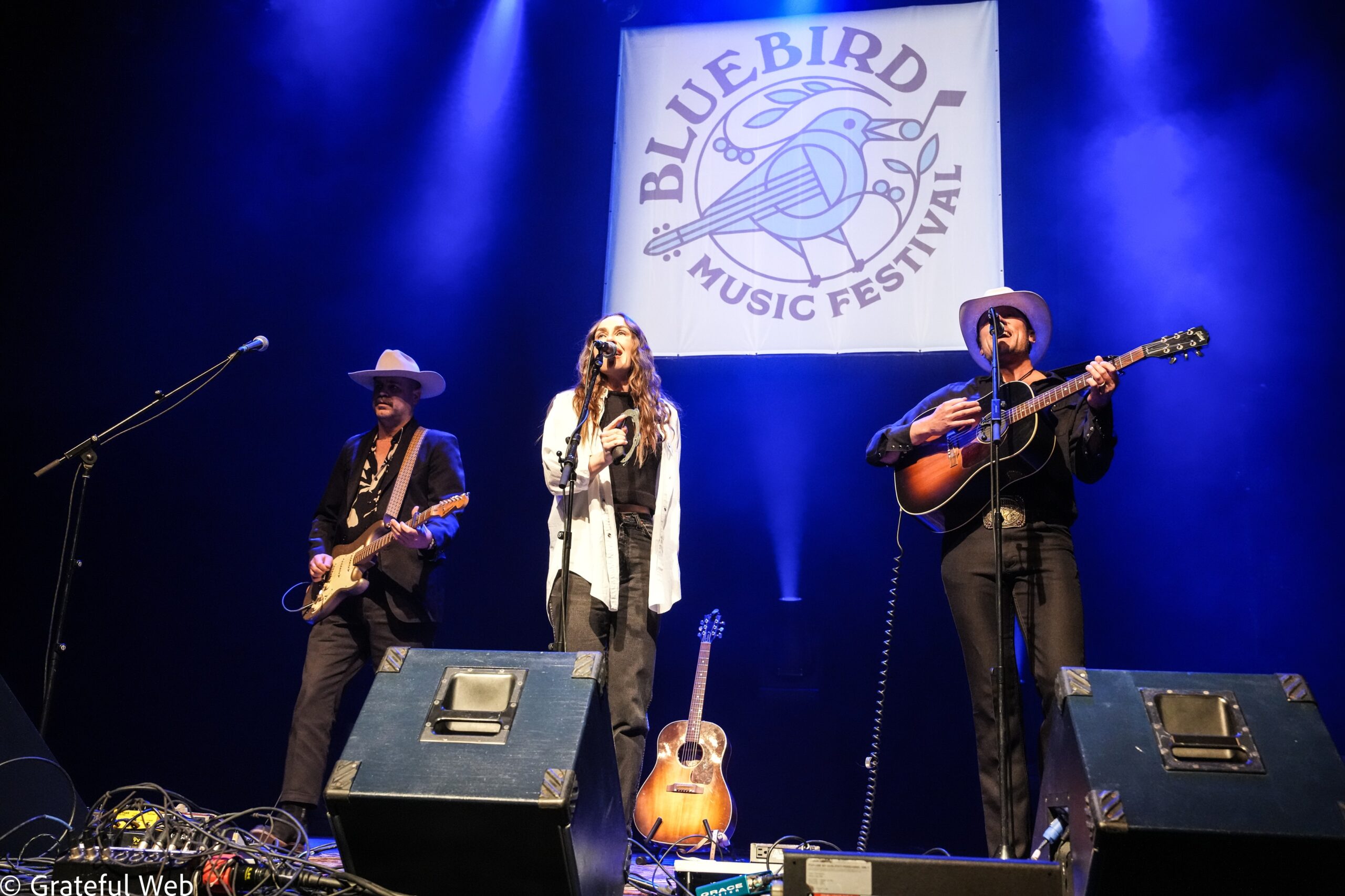 Bluebird Music Festival’s Saturday Session Supports The Lost Bluebird in Boulder