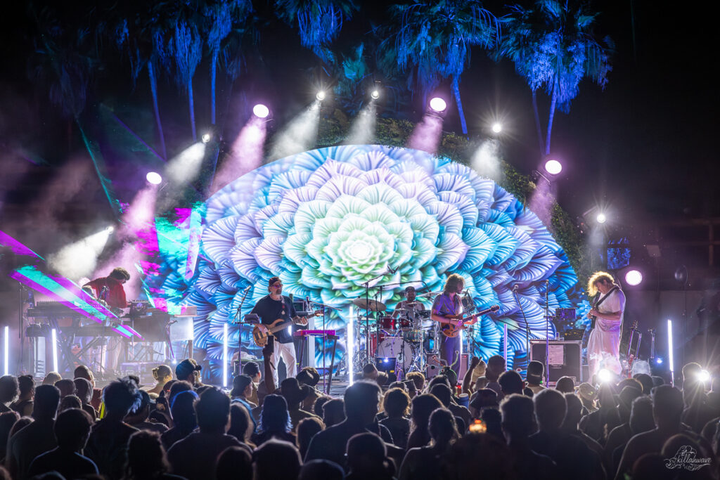 Disco Biscuits with Rick, Peter and Cotter