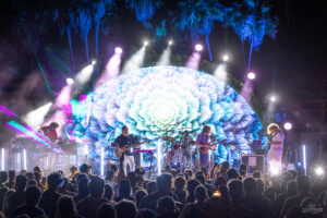 Disco Biscuits with Rick, Peter and Cotter