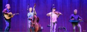 Four musicians performing on a purple-lit stage: guitarist left, upright bassist center, violinist with yellow glasses and pink shirt, keyboardist right.
